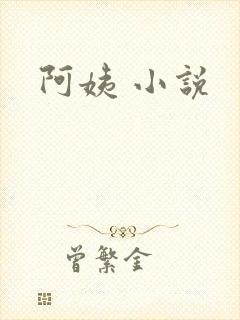 阿姨 小说