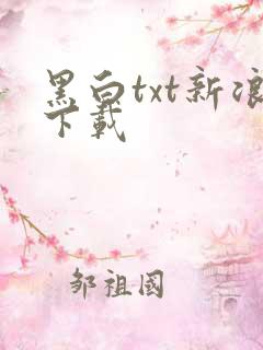 黑白txt新浪下载