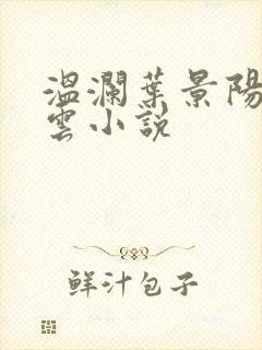 温澜叶景阳温云云小说