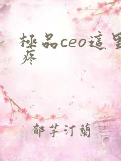极品ceo这里疼