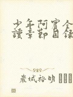 少年阿宾全文阅读章节目录