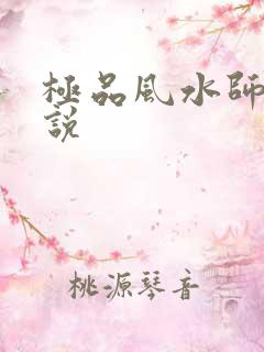 极品风水师 小说
