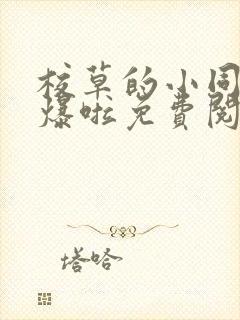 校草的小同桌撩爆啦免费阅读