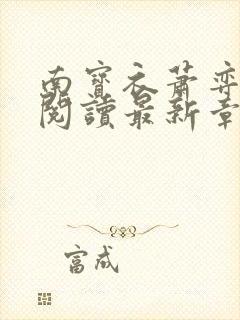 南宝衣萧弈免费阅读最新章节