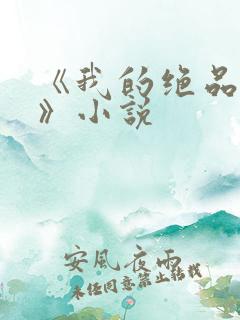 《我的绝品韵母》小说