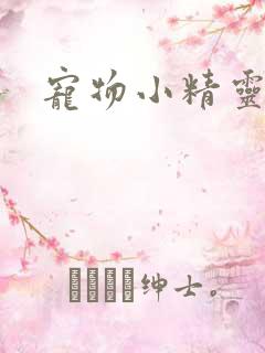 宠物小精灵漫画