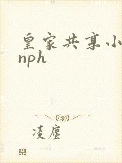 皇家共享小公主nph