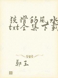 狡猾的风水相师txt全集下载