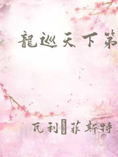 龙巡天下第四部