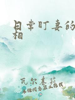 日常盯妻的小丞相