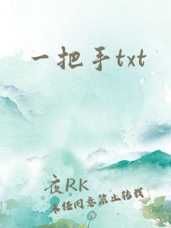 一把手txt
