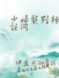 少妇系列辣文小说网