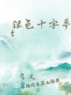 银色十字梦txt
