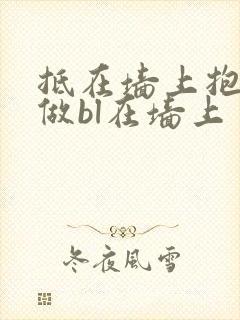 抵在墙上抱起来做bl在墙上