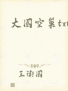 大国空巢txt