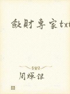 敛财专家txt