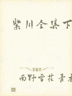 紫川全集下载