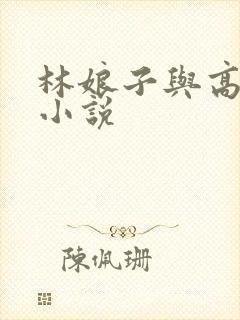 林娘子与高衙内小说