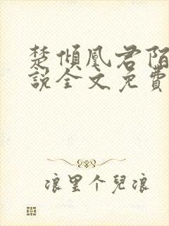 楚倾凰君陌尘小说全文免费阅读