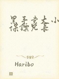 黑手党大小姐和保镖兄长