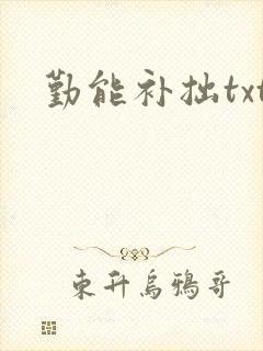 勤能补拙txt