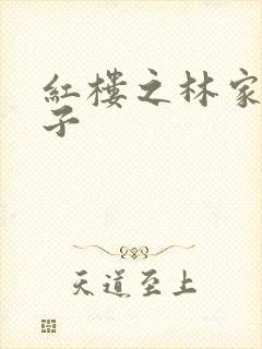 红楼之林家庶长子