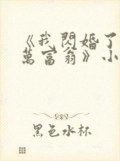 《我闪婚了个亿万富翁》小说