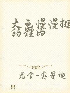 大龟慢慢挺进我的体内