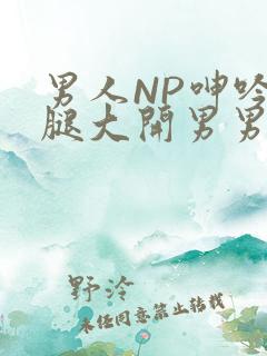 男人NP呻吟双腿大开男男小说