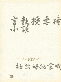 言教授要撞坏了小说