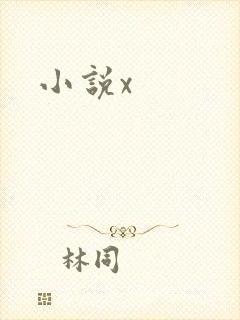 小说x