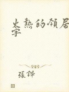 火热的领居中文字