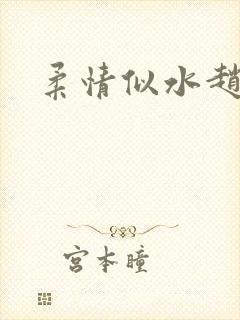 柔情似水赵雅儿