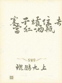 塞子堵住去上学 当红酒瓶