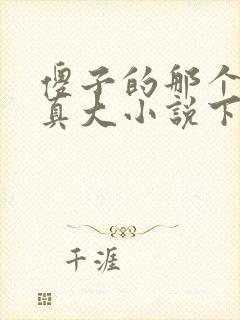 傻子的那个东西真大小说下载
