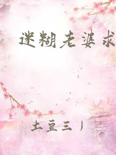 迷糊老婆求错婚