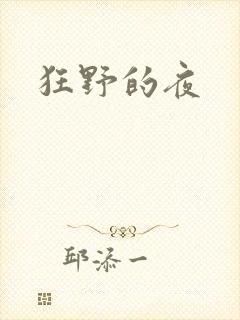狂野的夜