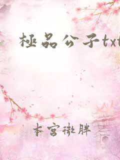 极品公子txt