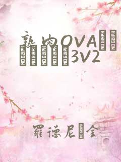 熟肉OVAちゃんはしたい3V2