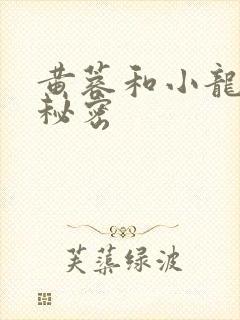 黄蓉和小龙女的秘密