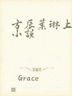 方辰叶琳上官步小说