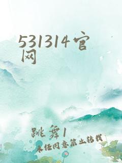 531314官网