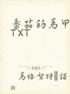 番茄的马甲小说TXT
