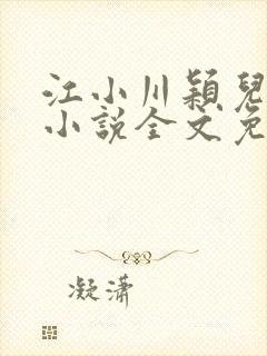 江小川颖儿穿越小说全文免费阅读