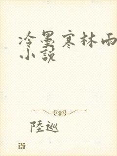 冷墨寒林雨彤的小说