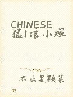 CHINESE猛1浪小辉