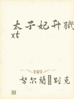 太子妃升职记txt