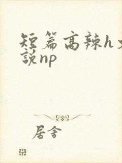 短篇高辣h文小说np