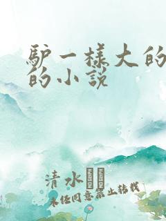 驴一样大的凶器的小说