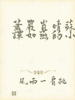 萧严肖晴苏雨溪谭如燕的小说